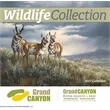 Products Wildlife Collection Appointment Calendar - Stapled | https://www.bestnamebadges.com