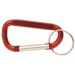 Carabiners With Keyring | https://www.bestnamebadges.com