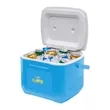 Coleman® 16 Qt. Cooler | https://www.bestnamebadges.com