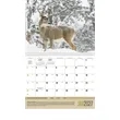 Triumph® Calendars Sportsman Calendar | https://www.bestnamebadges.com