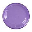 Garyline® Translucent 9" Flyer | https://www.bestnamebadges.com
