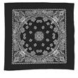 Garyline® 22" Bandana with Stock Paisley Pattern | https://www.bestnamebadges.com
