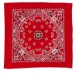 Garyline® 22" Bandana with Stock Paisley Pattern | https://www.bestnamebadges.com