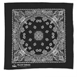 Garyline® 22" Bandana with Stock Paisley Pattern | https://www.bestnamebadges.com