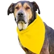 Garyline® Large Triangle Doggie Bandana | https://www.bestnamebadges.com
