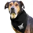 Garyline® Large Triangle Doggie Bandana | https://www.bestnamebadges.com