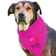 Garyline® Large Triangle Doggie Bandana | https://www.bestnamebadges.com