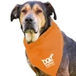 Garyline® Large Triangle Doggie Bandana | https://www.bestnamebadges.com