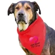 Garyline® Large Triangle Doggie Bandana | https://www.bestnamebadges.com