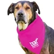 Garyline® Large Triangle Doggie Bandana | https://www.bestnamebadges.com