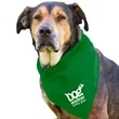 Garyline® Large Triangle Doggie Bandana | https://www.bestnamebadges.com