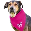 Garyline® Large Triangle Doggie Bandana | https://www.bestnamebadges.com
