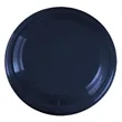 Garyline® 9" Flyer | https://www.bestnamebadges.com