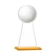 Victory Award | https://www.bestnamebadges.com