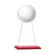 Victory Award | https://www.bestnamebadges.com