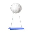 Victory Award | https://www.bestnamebadges.com