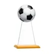 Victory Award | https://www.bestnamebadges.com