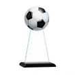 Victory Award | https://www.bestnamebadges.com