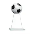 Victory Award | https://www.bestnamebadges.com