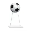 Victory Award | https://www.bestnamebadges.com