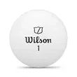 Wilson Staff Model Golf Balls | https://www.bestnamebadges.com
