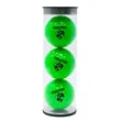 3 Colored Golf Balls Tube | https://www.bestnamebadges.com