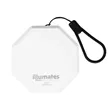 Foldable Lantern | https://www.bestnamebadges.com