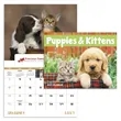 Good Value™ Puppies & Kittens - Window Calendar | https://www.bestnamebadges.com