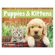 Good Value™ Puppies & Kittens - Window Calendar | https://www.bestnamebadges.com