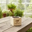 Wooden Cube Grow Kit | https://www.bestnamebadges.com