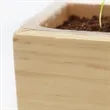 Wooden Cube Grow Kit | https://www.bestnamebadges.com
