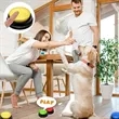 PetTalk Voice Recorder Button | https://www.bestnamebadges.com