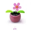 Solar-Powered Dancing Bloom | https://www.bestnamebadges.com