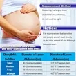 Adjustable Maternity Support Belt | https://www.bestnamebadges.com