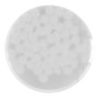 Round Credit Card Mints | https://www.bestnamebadges.com