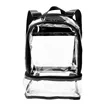 Good Value™ Clear Recycled TPU Dual Mini Backpack | https://www.bestnamebadges.com
