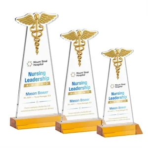 Caduceus VividPrint™ Award - Amber