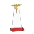 Caduceus Award - Red | https://www.bestnamebadges.com
