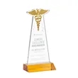 Caduceus Award - Amber | https://www.bestnamebadges.com