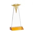 Caduceus Award - Amber | https://www.bestnamebadges.com