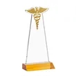 Caduceus Award - Amber | https://www.bestnamebadges.com