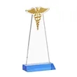 Caduceus Award - Sky Blue | https://www.bestnamebadges.com