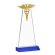 Caduceus Award - Blue | https://www.bestnamebadges.com
