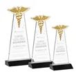 Caduceus Award - Black | https://www.bestnamebadges.com