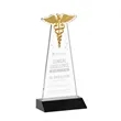 Caduceus Award - Black | https://www.bestnamebadges.com