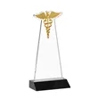 Caduceus Award - Black | https://www.bestnamebadges.com