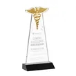 Caduceus Award - Black | https://www.bestnamebadges.com