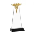 Caduceus Award - Black | https://www.bestnamebadges.com