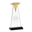 Caduceus Award - Black | https://www.bestnamebadges.com