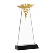 Caduceus Award - Black | https://www.bestnamebadges.com